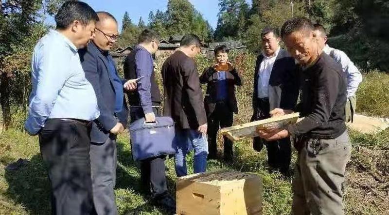 微信图片_20190315142247.jpg 微信图片_20190315142247.jpg